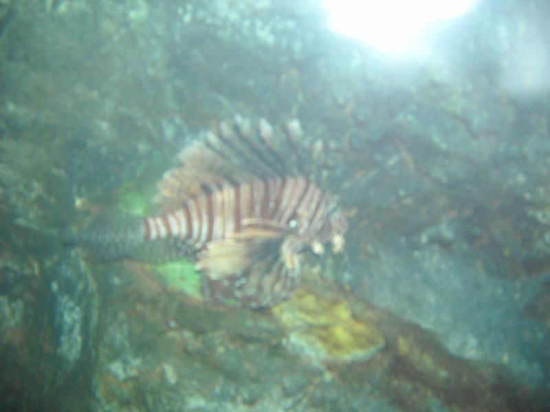 Maleisie (145).jpg